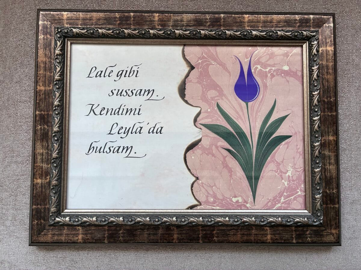 AYSEL SERHAT YILDIZ - Hediyem Yazı - İzmir
